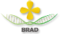 BRAD database